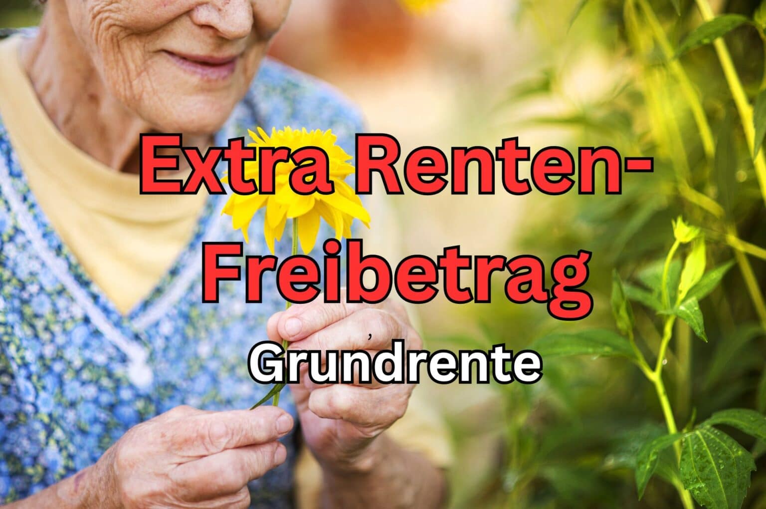 Extra Freibetrag Bei Rente Plus Grundsicherung Oder Wohngeld Wie