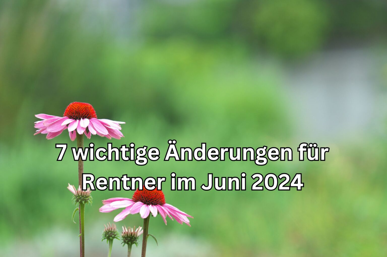 Rente Juni 2024 Mehr Geld und neue Regeln!