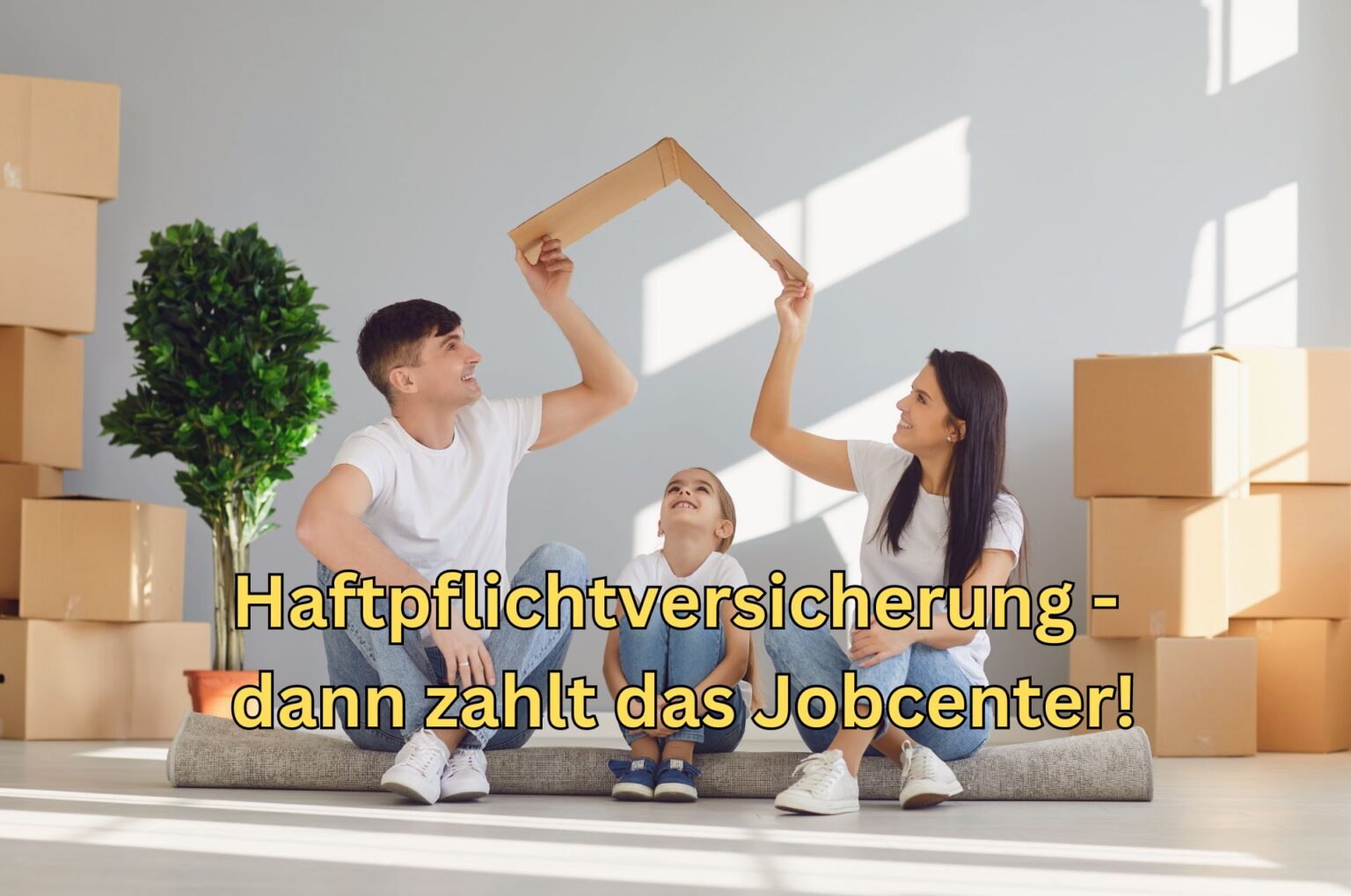 Jobcenter Zahlt Haftpflichtversicherung Bei Bürgergeld - Nur Ausnahmsweise!