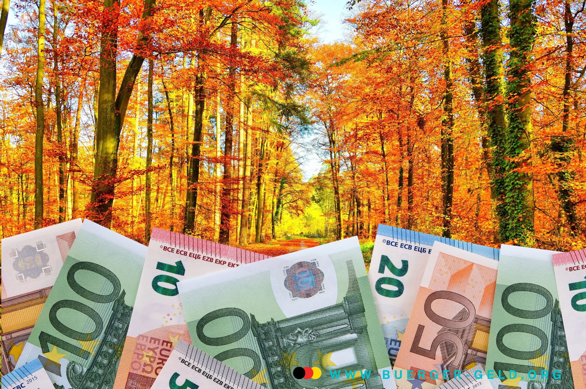 Goldener Oktoberwald mit Euroscheinen im Vordergrund