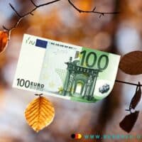 Herbstlaub an Zweigen und ein 100 Euro Schein