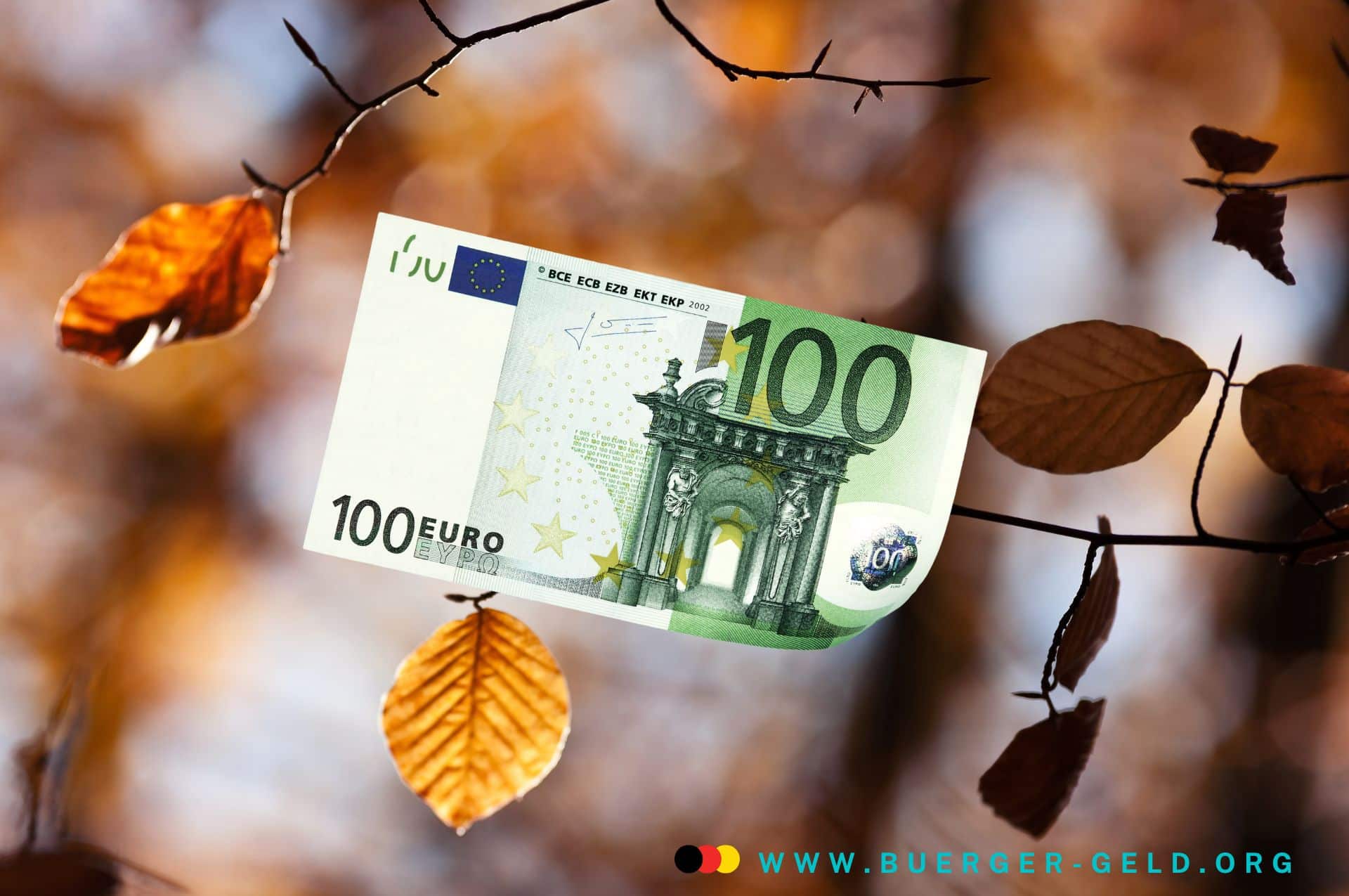 Herbstlaub an Zweigen und ein 100 Euro Schein